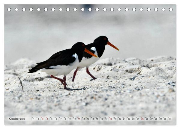Produktbild: Sch&ouml;ne Insel Helgoland (Tischkalender 2026 DIN A5 quer), CALVENDO Monatskalender