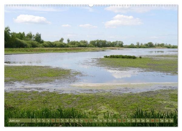 Produktbild: Traumhaftes Steinhuder Meer (Wandkalender 2027 DIN A2 quer), CALVENDO Monatskalender