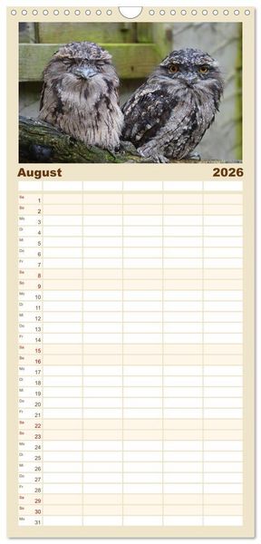 Produktbild: Familienplaner 2026 - Eulen. Gefiederte Weisheit mit 5 Spalten (Wandkalender, 21 x 45 cm) CALVENDO