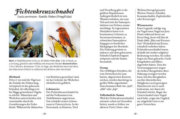Produktbild: Das kleine Buch: Singv&ouml;gel