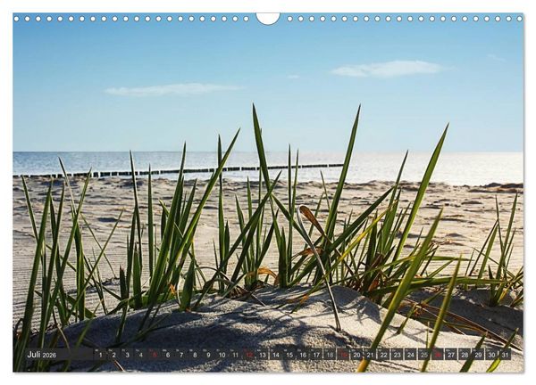 Produktbild: Insel Hiddensee (Wandkalender 2026 DIN A3 quer), CALVENDO Monatskalender