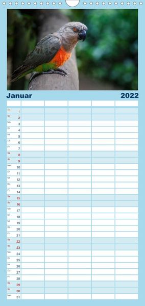 Produktbild: Papageien - Frech, sch&ouml;n und schlau - Familienplaner hoch (Wandkalender 2022 , 21 cm x 45 cm, hoch)