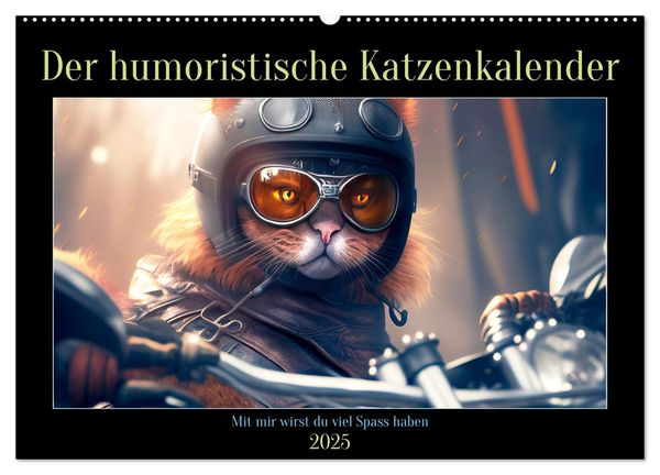 Der humoristische Katzen Kalender (Wandkalender 2025 DIN A2 quer), CALVENDO Monatskalender