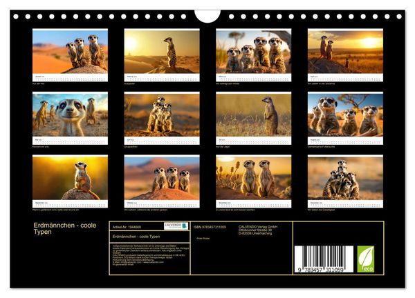 Produktbild: Erdm&auml;nnchen - coole Typen (Wandkalender 2026 DIN A4 quer), CALVENDO Monatskalender