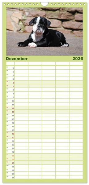 Produktbild: Familienplaner 2026 - Bulldoggen-Kinder mit 5 Spalten (Wandkalender, 21 x 45 cm) CALVENDO