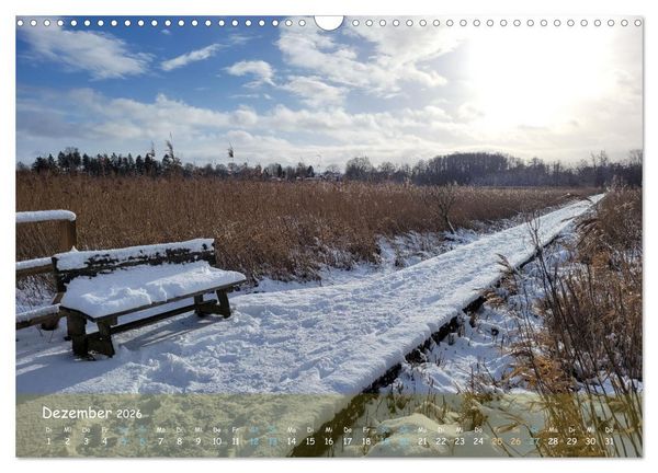 Produktbild: Moortr&auml;ume - Natursch&ouml;nheit in Bildern (Wandkalender 2026 DIN A3 quer), CALVENDO Monatskalender