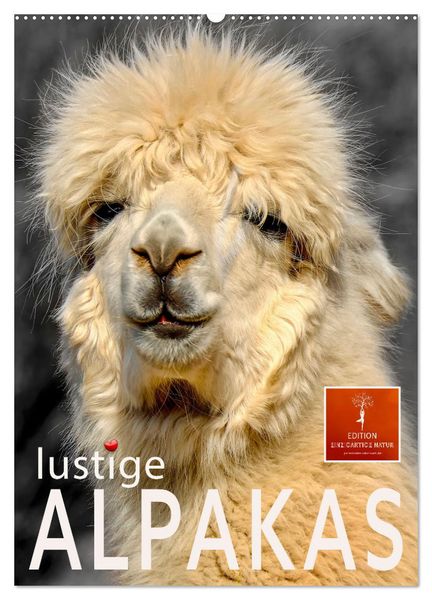 Produktbild: Lustige Alpakas (Wandkalender 2026 DIN A2 hoch), CALVENDO Monatskalender
