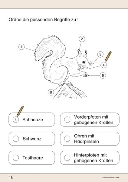 Produktbild: Ich kenne das Eichhörnchen