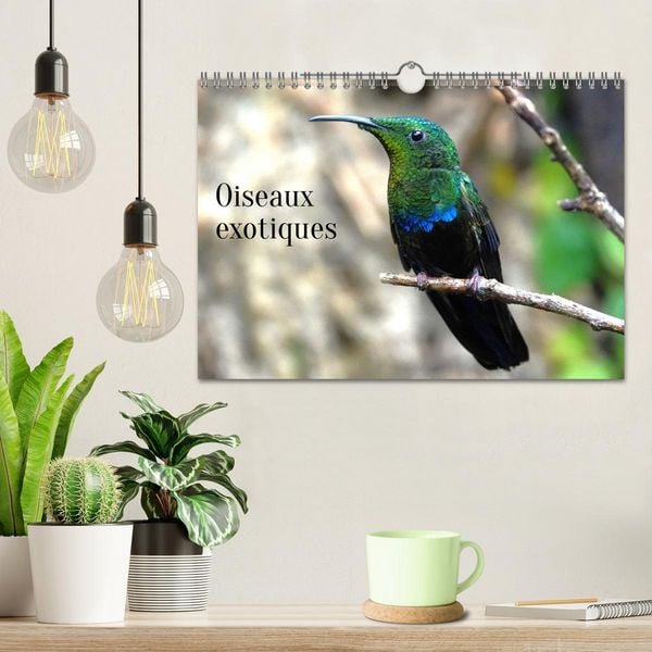 Produktbild: Oiseaux exotiques (Calendrier mural 2026 DIN A4 vertical), CALVENDO calendrier mensuel