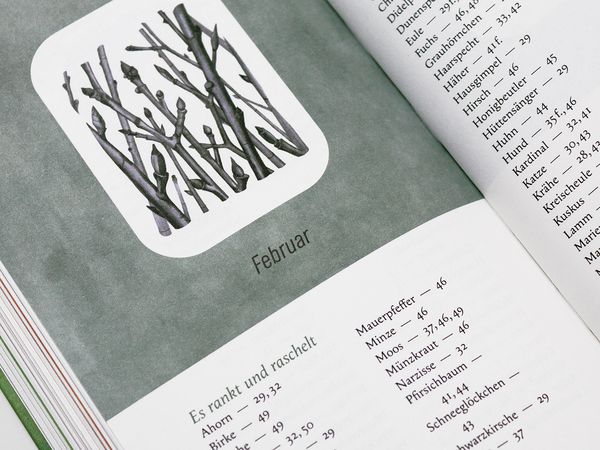 Produktbild: Ein Jahr in der Natur
