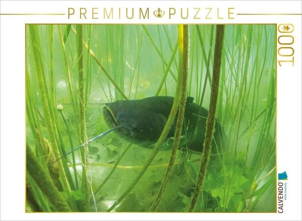 Produktbild: CALVENDO Puzzle Wels im Lac de Paladru, Auvergne-Rh&ocirc;ne-Alpes | 1000 Teile Lege-Gr&ouml;&szlig;e 64x48cm Foto-Puzzle f&uuml;r gl&uuml;ckliche Stunden