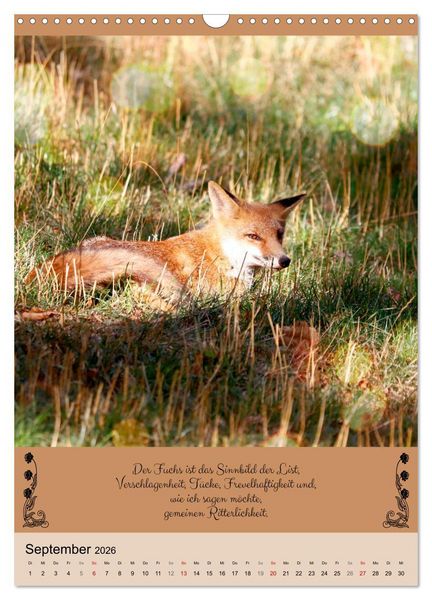 Produktbild: Buntes Tierleben (Wandkalender 2026 DIN A3 hoch), CALVENDO Monatskalender