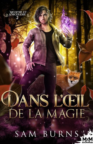 Produktbild: Dans l'oeil de la magie