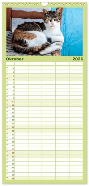 Produktbild: Familienplaner 2026 - Griechische Katzen mit 5 Spalten (Wandkalender, 21 x 45 cm) CALVENDO