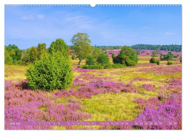 Produktbild: L&uuml;neburger Heide - Wanderung rund um Wilsede und Totengrund (hochwertiger Premium Wandkalender 2026 DIN A2 quer), Kunstdruck in Hochglanz