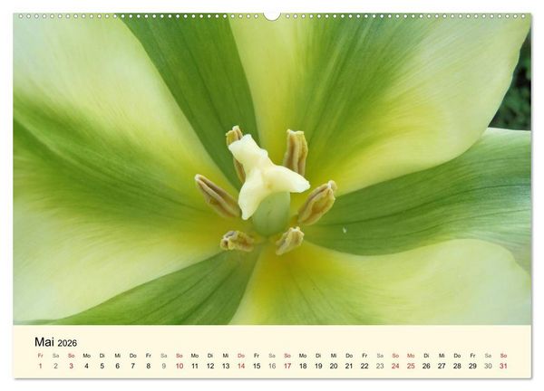 Produktbild: Kraftquelle Gr&uuml;n (hochwertiger Premium Wandkalender 2026 DIN A2 quer), Kunstdruck in Hochglanz