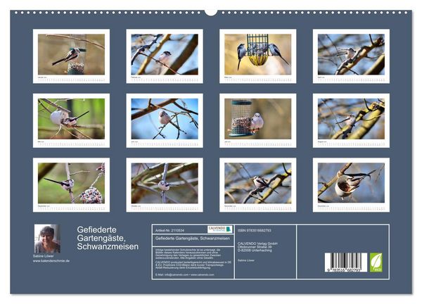 Produktbild: Gefiederte Garteng&auml;ste, Schwanzmeisen (hochwertiger Premium Wandkalender 2026 DIN A2 quer), Kunstdruck in Hochglanz