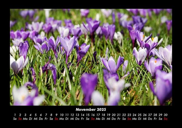 Produktbild: Blumenkalender 2025 Fotokalender DIN A3