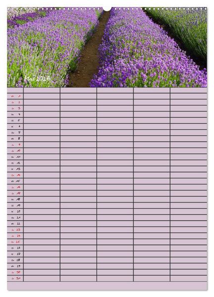 Produktbild: Naturzauber Lavendel - Familienplaner (Wandkalender 2026 DIN A2 hoch), CALVENDO Monatskalender