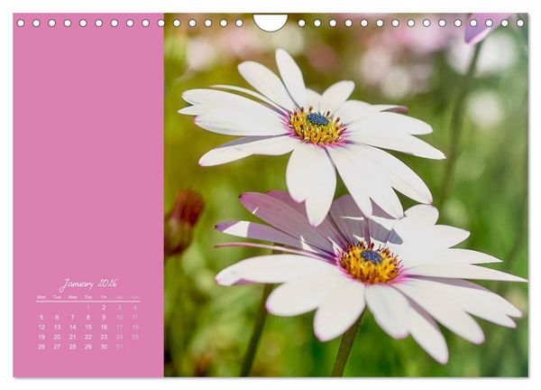 Produktbild: Vibrancy of flowers (Wall Calendar 2026 DIN A4 landscape), CALVENDO 12 Month Wall Calendar