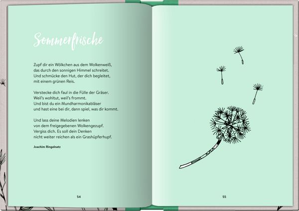 Produktbild: Dear Life!