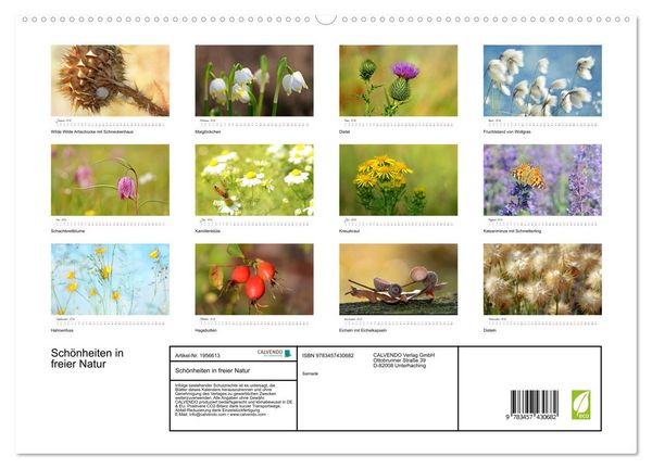 Produktbild: Sch&ouml;nheiten in freier Natur (hochwertiger Premium Wandkalender 2026 DIN A2 quer), Kunstdruck in Hochglanz