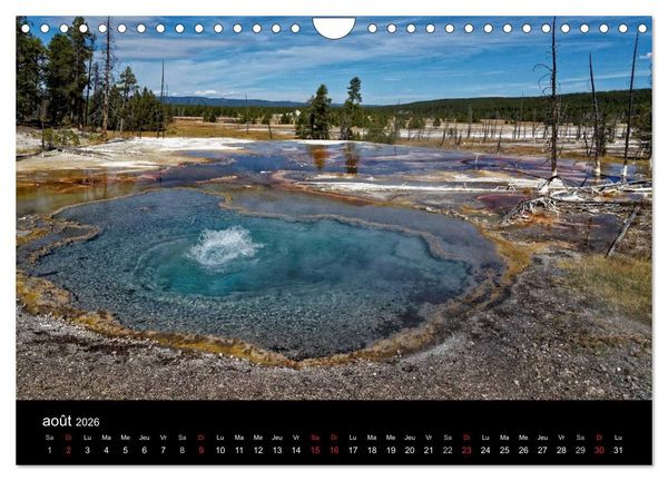 Produktbild: Yellowstone Un grand parc am&eacute;ricain (Calendrier mural 2026 DIN A4 vertical), CALVENDO calendrier mensuel