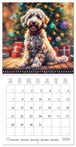 Produktbild: Hi, I am an Aussiedoodle (Wall Calendar 2026 12 &times; 12 Inch) CALVENDO 12 Month Wall Calendar