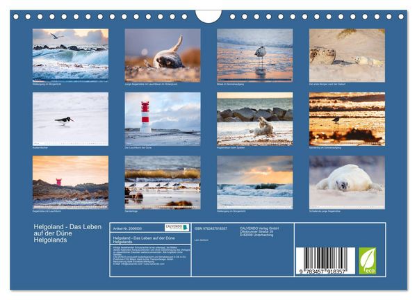 Produktbild: Helgoland - Das Leben auf der D&uuml;ne Helgolands (Wandkalender 2026 DIN A4 quer), CALVENDO Monatskalender