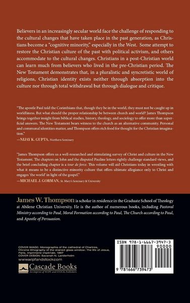 Produktbild: Christ and Culture in the New Testament