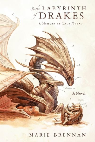Produktbild: In the Labyrinth of Drakes
