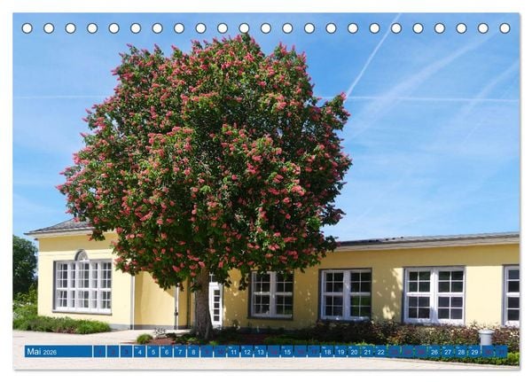 Produktbild: Bad Nenndorf, Kurpark-Impressionen (Tischkalender 2026 DIN A5 quer), CALVENDO Monatskalender