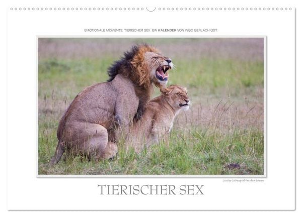 Produktbild: Emotionale Momente: Tierischer Sex. (Wandkalender 2026 DIN A2 quer), CALVENDO Monatskalender