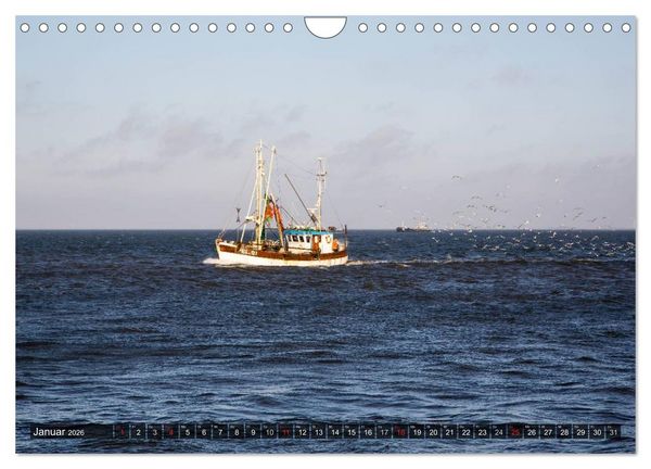 Produktbild: Pellworm 2026 (Wandkalender 2026 DIN A4 quer), CALVENDO Monatskalender