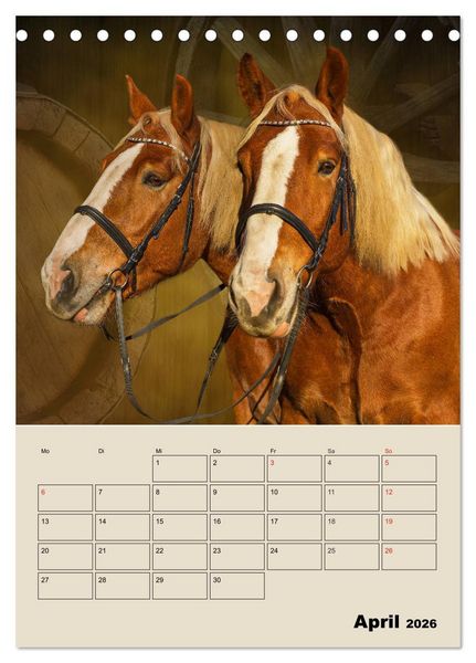 Produktbild: Pferdetr&auml;umereien - Traumbilder von Traumpferden (Tischkalender 2026 DIN A5 hoch), CALVENDO Monatskalender