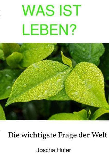 WAS IST LEBEN? - Die wichtigste Frage der Welt, Taschenbuch von Joscha Huter, Epubli, 9783756525836