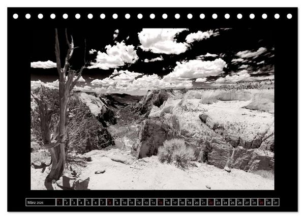Produktbild: USA - 4000 Meilen S&uuml;dwest Hommage an die gro&szlig;en SW-Fotografen Amerikas (Tischkalender 2026 DIN A5 quer), CALVENDO Monatskalender