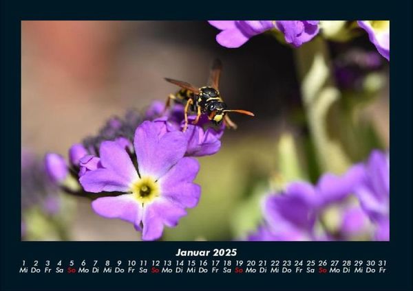 Produktbild: Blumenkalender 2025 Fotokalender DIN A4