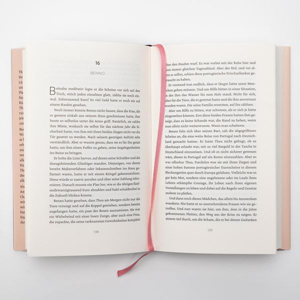Produktbild: Das Licht in den Birken