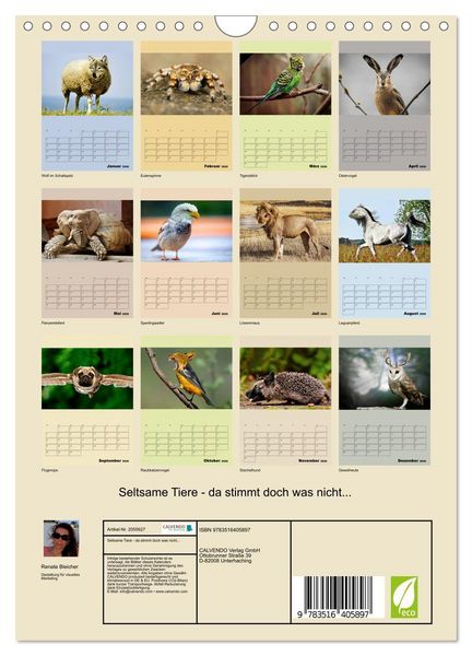 Produktbild: Seltsame Tiere - da stimmt doch was nicht... (Wandkalender 2026 DIN A4 hoch), CALVENDO Monatskalender