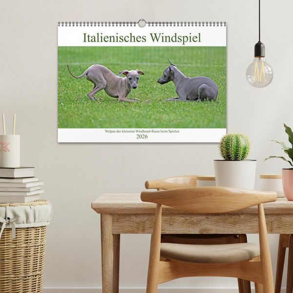 Produktbild: Italienisches Windspiel (Wandkalender 2026 DIN A3 quer), CALVENDO Monatskalender