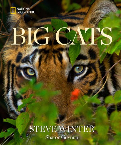 Produktbild: Big Cats