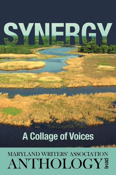 Produktbild: Synergy