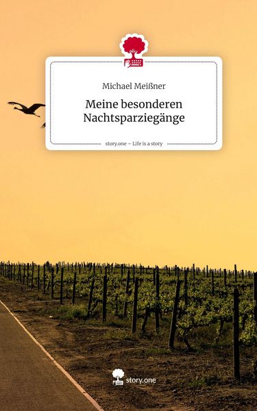 Produktbild: Meine besonderen Nachtsparzieg&auml;nge. Life is a Story - story.one