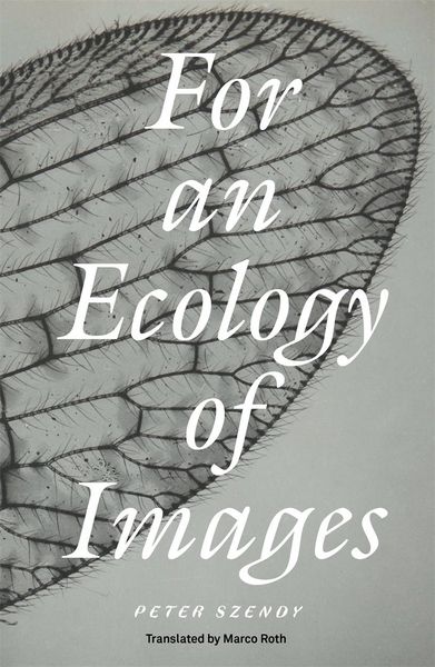 Produktbild: For an Ecology of Images