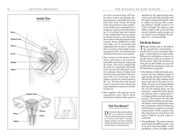 Produktbild: What to Expect Before You're Expecting
