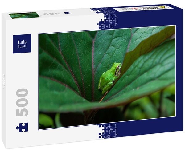 Produktbild: Lais Puzzle Frosch 500 Teile