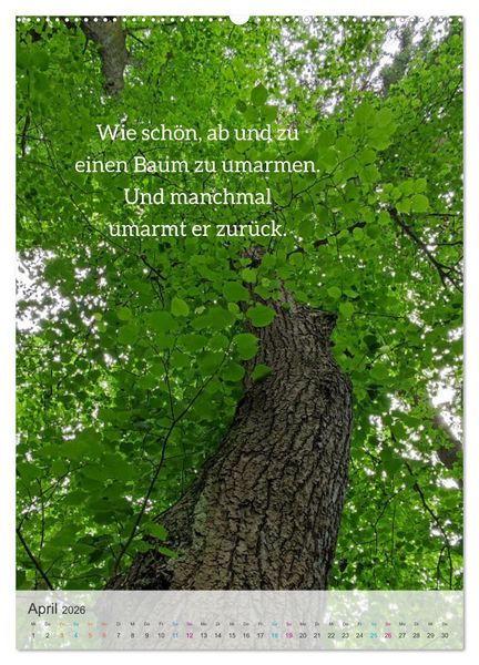 Produktbild: Manchmal - Poetische Momentaufnahmen (hochwertiger Premium Wandkalender 2026 DIN A2 hoch), Kunstdruck in Hochglanz
