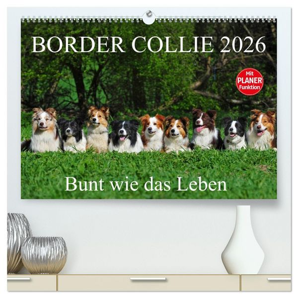 Produktbild: Border Collie 2026 (hochwertiger Premium Wandkalender 2026 DIN A2 quer), Kunstdruck in Hochglanz