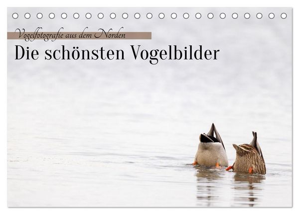 Produktbild: Vogelfotografie aus dem Norden (Tischkalender 2027 DIN A5 quer), CALVENDO Monatskalender